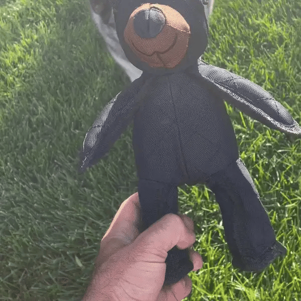 BullyBear Chew-Proof Toy