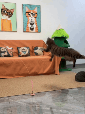 Purrfect Playmate Toy