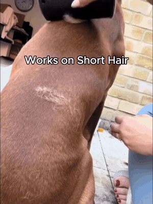 PetEase Hair Groomer Pro
