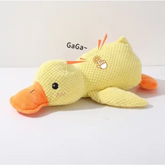 Quack & Cuddle Dog Toy