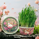 Cat Wellness Organic Grass Snack