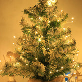 FairyGlow Decorative LED Lights