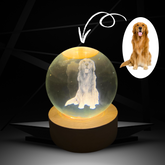 Personalised Pet Crystal Night Light
