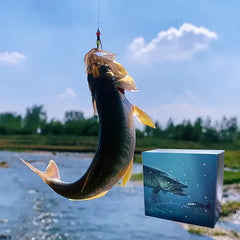 Catch of the Day Fishing Advent Calendar