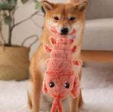 Wiggly Lobster Dog Toy
