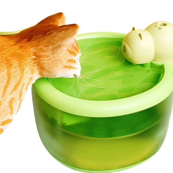 Tiny Bear Cat Water Fountain
