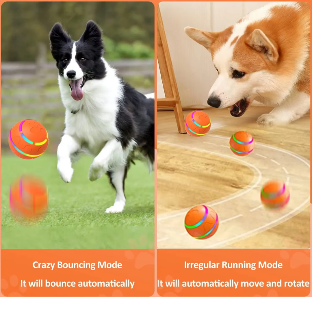 Robo Bounce Dog Play Ball