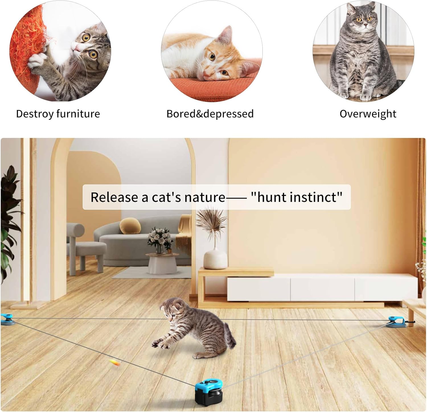 Interactive Cat Play Treadmill