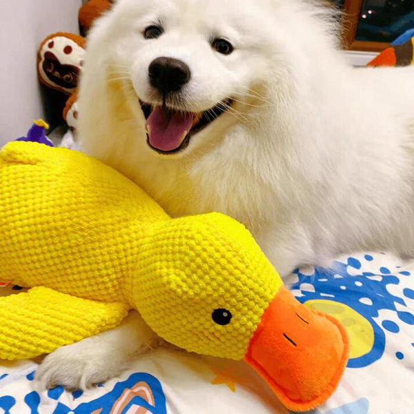 Quack & Cuddle Dog Toy